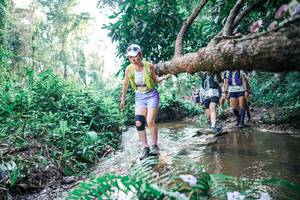 BIB: 
                            <button type="button" onclick="openModal(25455095)" class="btn btn-primary btn-sm float-right btn-popup" data-toggle="modal" data-target=".modal-high-quality">
                        <i class="fas fa-shopping-cart"></i> Add to Cart
                    </button>
                                            <button type="button" onclick="isThisMe(25455095, true)" class="btn btn-success btn-sm float-right btn-popup btn-isme hidden" data-toggle="tooltip" data-placement="bottom" title="นี่คือรูปของคุณใช่ไหม คลิกที่นี่เพื่อเอาเข้าอัลบั้ม">
                        <i class="fas fa-plus"></i> Add to album
                    </button>
                    <button type="button" onclick="isThisMe(25455095, false)" class="btn btn-warning btn-sm float-right btn-popup btn-isnotme hidden">
                        <i class="fas fa-ban"></i> Remove from album
                    </button>